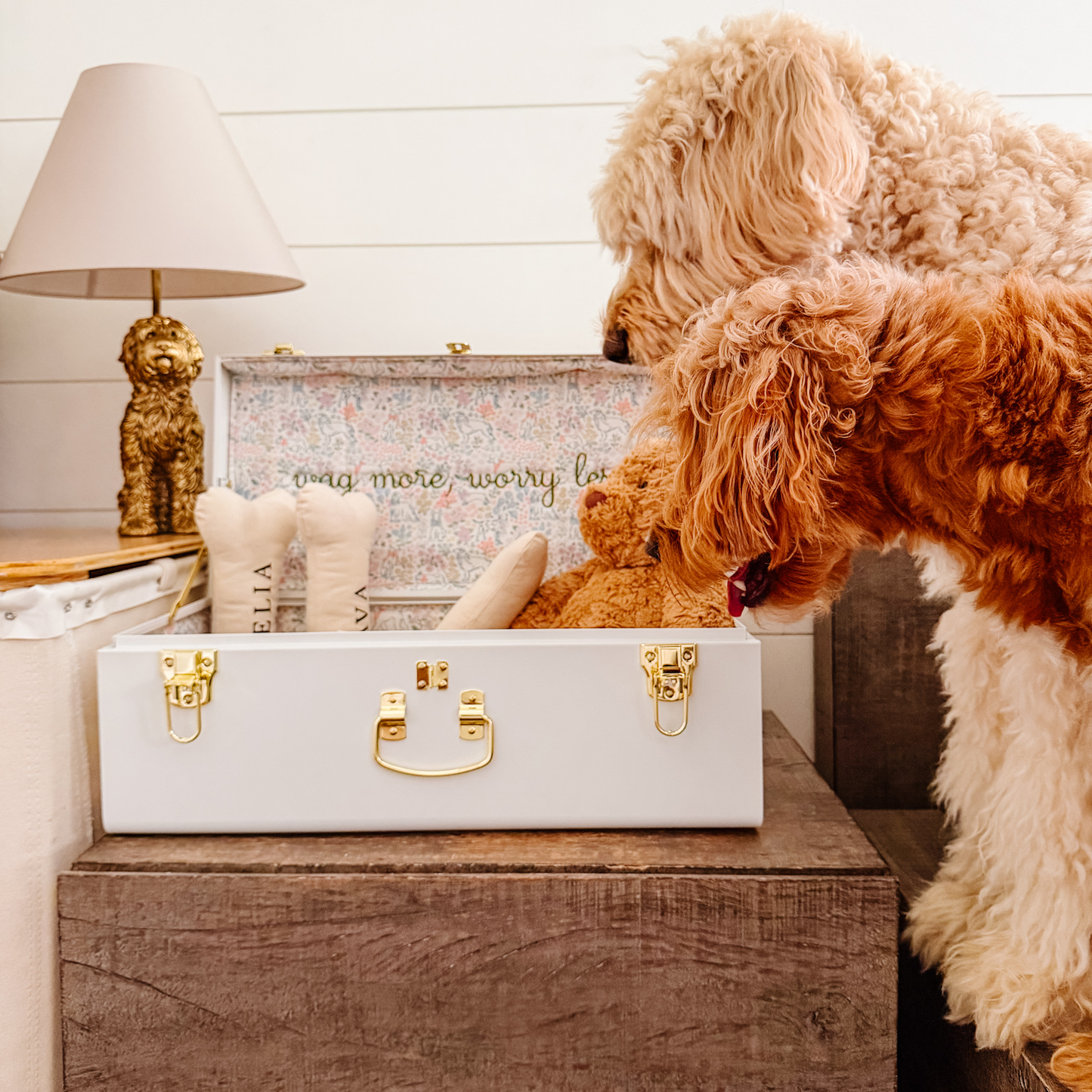 The Foggy Dog x Petite Keep Petite Trunk