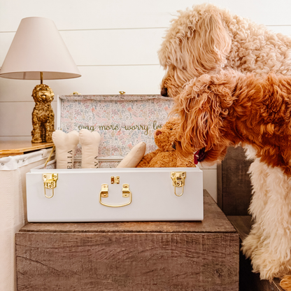 The Foggy Dog x Petite Keep Petite Trunk